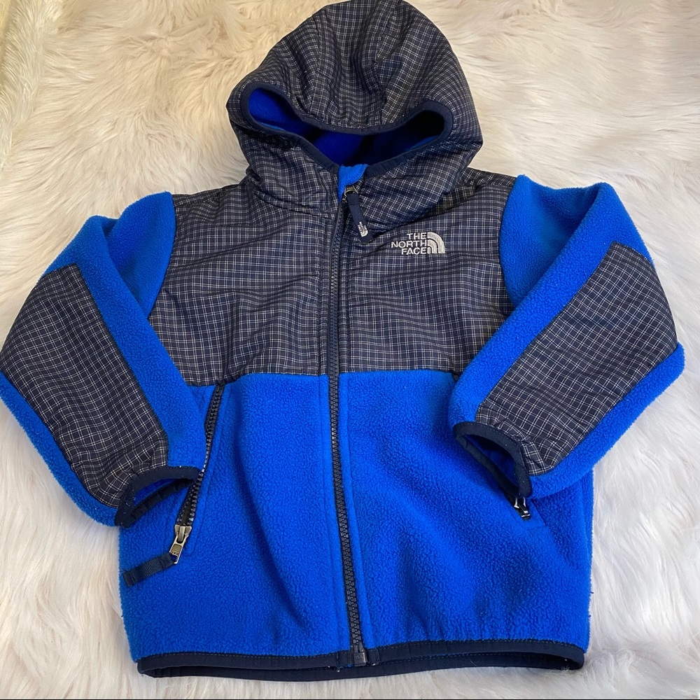 The North Face Denali Fleece Hoodie Jacket